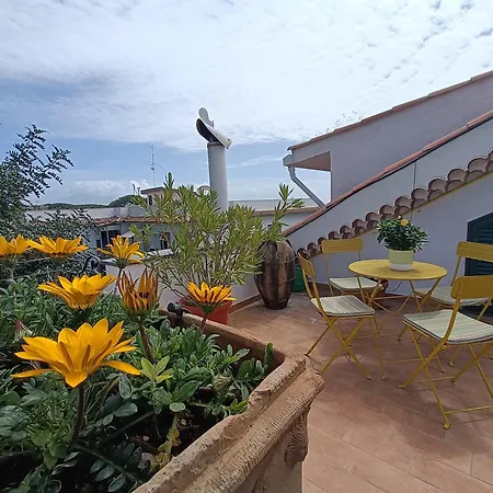 Casa Olivella Appartement