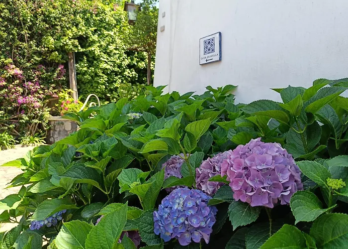 Apartmán Casa Olivella Torre del Greco