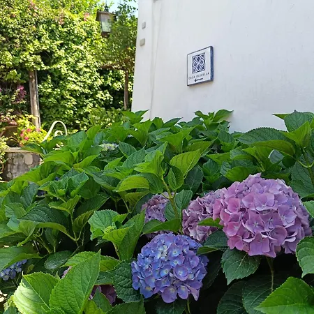 Apartment Casa Olivella Torre del Greco