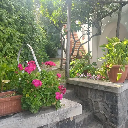 Casa Olivella Lejlighed *