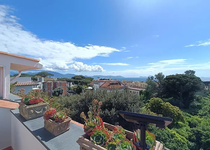 Casa Olivella Apartamento *